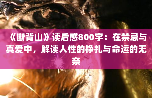 《断背山》读后感800字：在禁忌与真爱中，解读人性的挣扎与命运的无奈