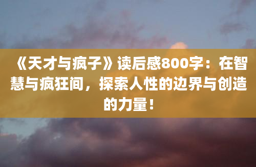 《天才与疯子》读后感800字：在智慧与疯狂间，探索人性的边界与创造的力量！