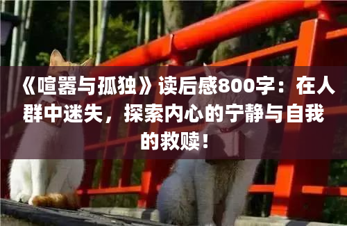 《喧嚣与孤独》读后感800字：在人群中迷失，探索内心的宁静与自我的救赎！