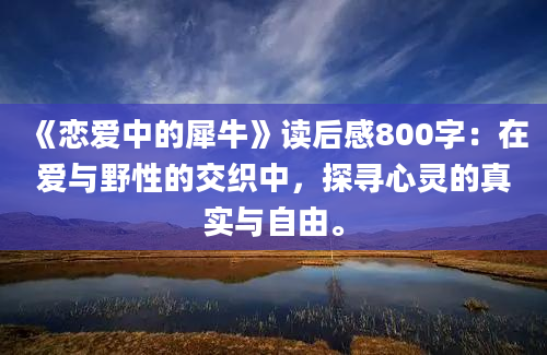 《恋爱中的犀牛》读后感800字：在爱与野性的交织中，探寻心灵的真实与自由。