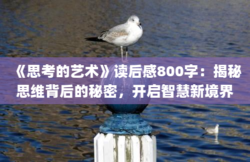 《思考的艺术》读后感800字：揭秘思维背后的秘密，开启智慧新境界