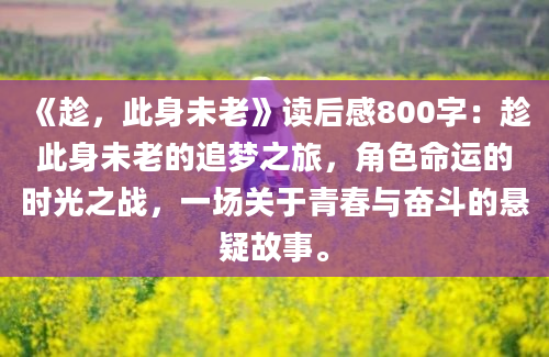 《趁，此身未老》读后感800字：趁此身未老的追梦之旅，角色命运的时光之战，一场关于青春与奋斗的悬疑故事。