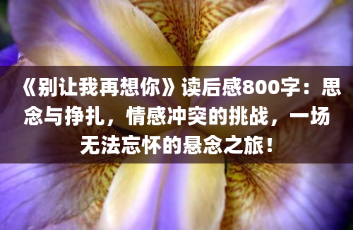 《别让我再想你》读后感800字：思念与挣扎，情感冲突的挑战，一场无法忘怀的悬念之旅！