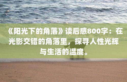 《阳光下的角落》读后感800字：在光影交错的角落里，探寻人性光辉与生活的温度。