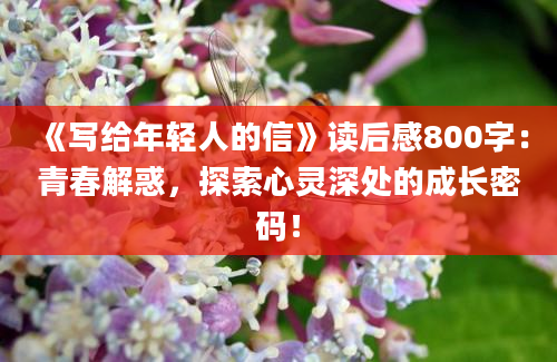 《写给年轻人的信》读后感800字：青春解惑，探索心灵深处的成长密码！