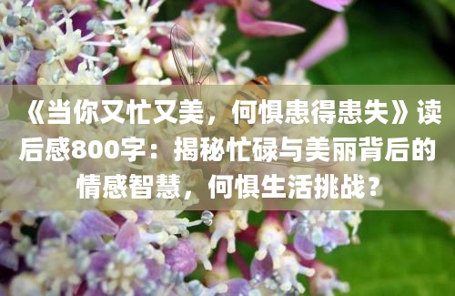 《当你又忙又美，何惧患得患失》读后感800字：揭秘忙碌与美丽背后的情感智慧，何惧生活挑战？