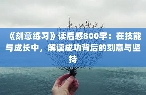 《刻意练习》读后感800字：在技能与成长中，解读成功背后的刻意与坚持