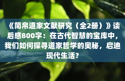 《简帛道家文献研究（全2册）》读后感800字：在古代智慧的宝库中，我们如何探寻道家哲学的奥秘，启迪现代生活？