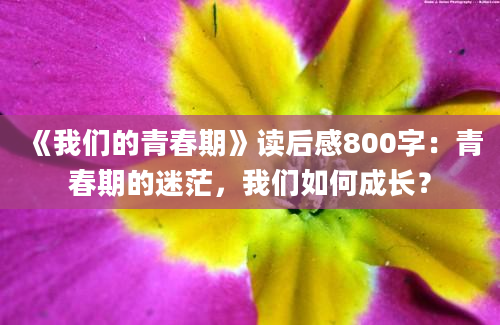 《我们的青春期》读后感800字：青春期的迷茫，我们如何成长？