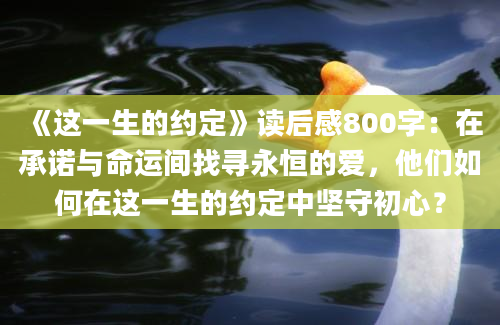 《这一生的约定》读后感800字：在承诺与命运间找寻永恒的爱，他们如何在这一生的约定中坚守初心？