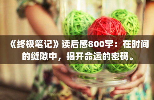 《终极笔记》读后感800字：在时间的缝隙中，揭开命运的密码。