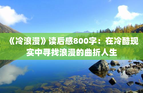 《冷浪漫》读后感800字：在冷酷现实中寻找浪漫的曲折人生