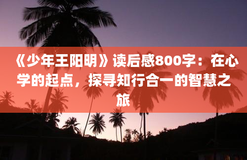 《少年王阳明》读后感800字：在心学的起点，探寻知行合一的智慧之旅