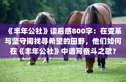 《丰年公社》读后感800字：在变革与坚守间找寻希望的田野，他们如何在《丰年公社》中谱写奋斗之歌？