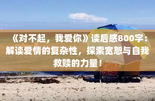 《对不起，我爱你》读后感800字：解读爱情的复杂性，探索宽恕与自我救赎的力量！