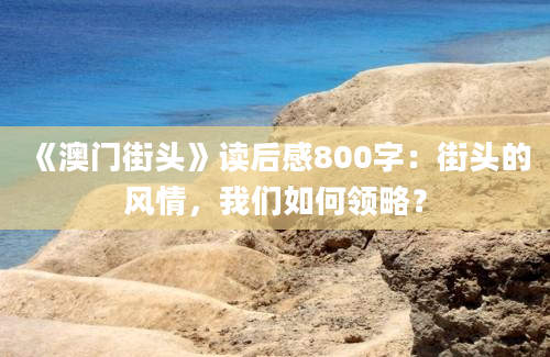 《澳门街头》读后感800字：街头的风情，我们如何领略？