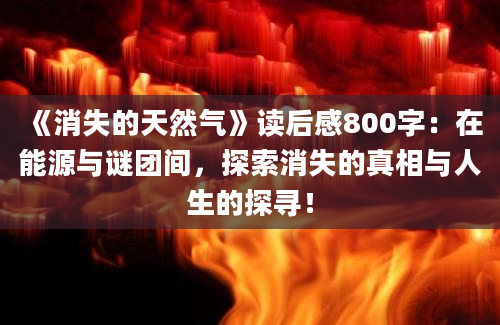 《消失的天然气》读后感800字：在能源与谜团间，探索消失的真相与人生的探寻！