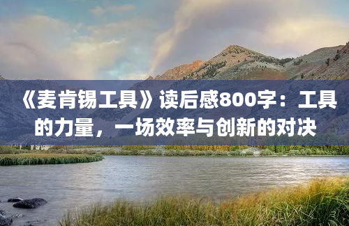 《麦肯锡工具》读后感800字：工具的力量，一场效率与创新的对决