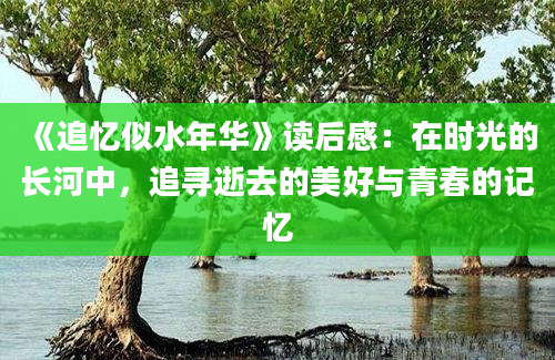 《追忆似水年华》读后感：在时光的长河中，追寻逝去的美好与青春的记忆