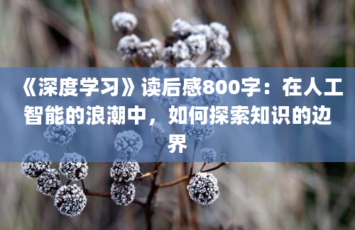 《深度学习》读后感800字：在人工智能的浪潮中，如何探索知识的边界