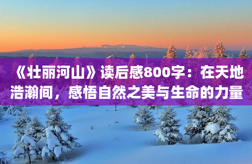 《壮丽河山》<a href=https://www.baixuetang.com target=_blank class=infotextkey>读后感</a>800字：在天地浩瀚间，感悟自然之美与生命的力量