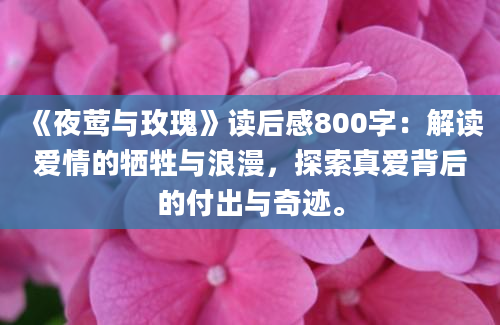 《夜莺与玫瑰》读后感800字：解读爱情的牺牲与浪漫，探索真爱背后的付出与奇迹。