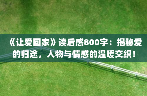 《让爱回家》读后感800字：揭秘爱的归途，人物与情感的温暖交织！