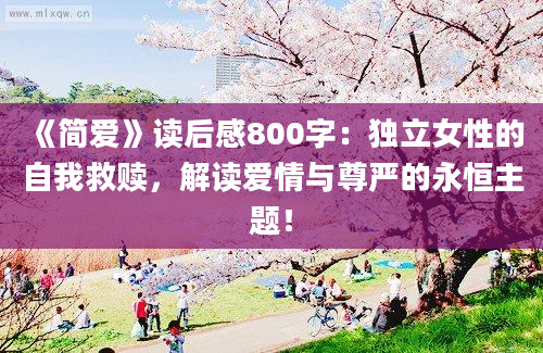 《简爱》读后感800字：独立女性的自我救赎，解读爱情与尊严的永恒主题！