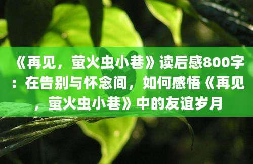 《再见，萤火虫小巷》读后感800字：在告别与怀念间，如何感悟《再见，萤火虫小巷》中的友谊岁月