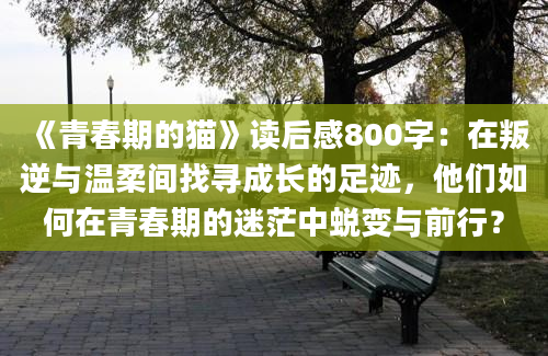 《青春期的猫》读后感800字：在叛逆与温柔间找寻成长的足迹，他们如何在青春期的迷茫中蜕变与前行？