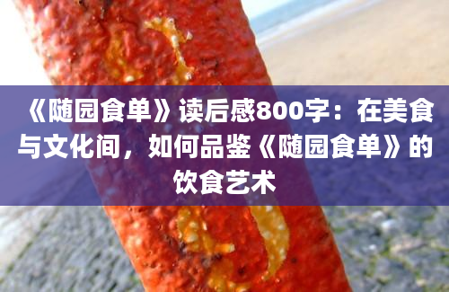 《随园食单》读后感800字：在美食与文化间，如何品鉴《随园食单》的饮食艺术