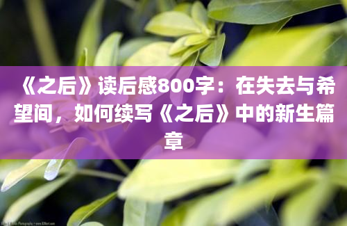 《之后》读后感800字：在失去与希望间，如何续写《之后》中的新生篇章