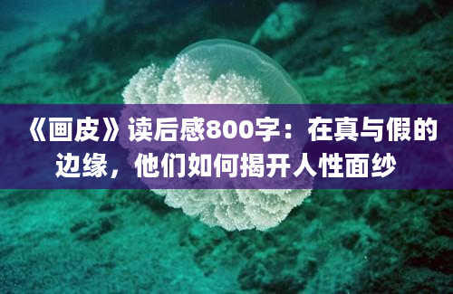 《画皮》读后感800字：在真与假的边缘，他们如何揭开人性面纱