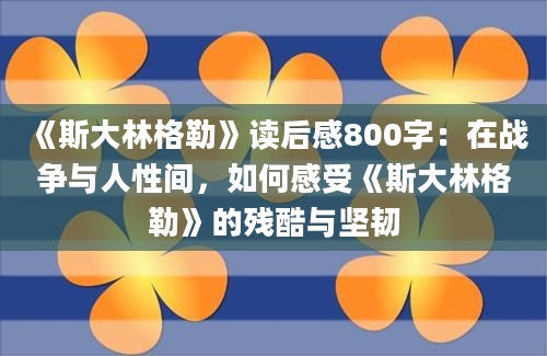 《斯大林格勒》读后感800字：在战争与人性间，如何感受《斯大林格勒》的残酷与坚韧