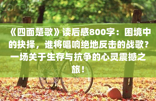 《四面楚歌》读后感800字：困境中的抉择，谁将唱响绝地反击的战歌？一场关于生存与抗争的心灵震撼之旅！