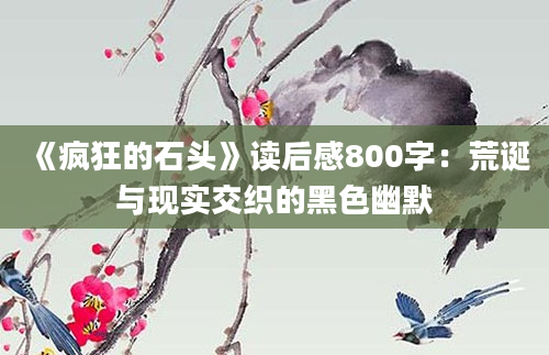 《疯狂的石头》读后感800字：荒诞与现实交织的黑色幽默