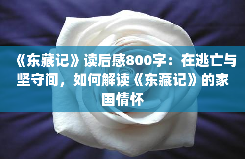 《东藏记》读后感800字：在逃亡与坚守间，如何解读《东藏记》的家国情怀