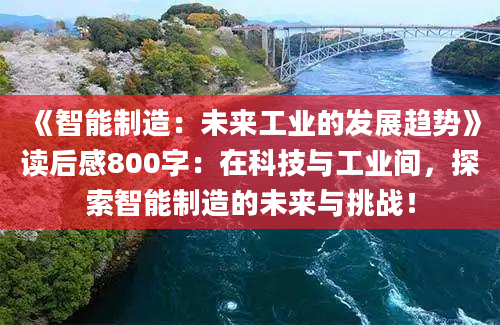 《智能制造：未来工业的发展趋势》读后感800字：在科技与工业间，探索智能制造的未来与挑战！