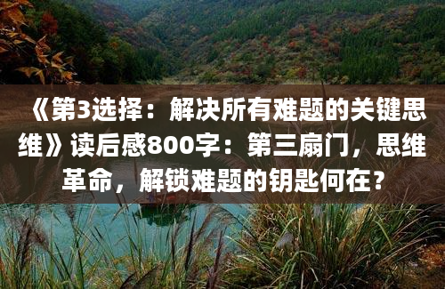 《第3选择：解决所有难题的关键思维》读后感800字：第三扇门，思维革命，解锁难题的钥匙何在？