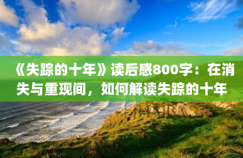 《失踪的十年》读后感800字：在消失与重现间，如何解读失踪的十年