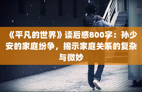 《平凡的世界》读后感800字：孙少安的家庭纷争，揭示家庭关系的复杂与微妙