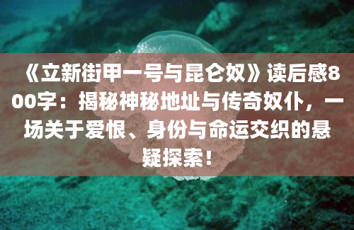 《立新街甲一号与昆仑奴》读后感800字：揭秘神秘地址与传奇奴仆，一场关于爱恨、身份与命运交织的悬疑探索！