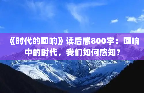 《时代的回响》读后感800字：回响中的时代，我们如何感知？