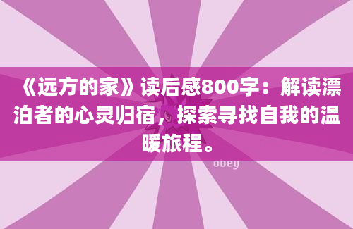 《远方的家》读后感800字：解读漂泊者的心灵归宿，探索寻找自我的温暖旅程。