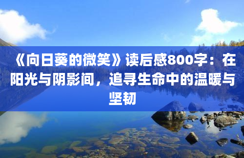 《向日葵的微笑》读后感800字：在阳光与阴影间，追寻生命中的温暖与坚韧