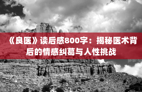 《良医》读后感800字：揭秘医术背后的情感纠葛与人性挑战