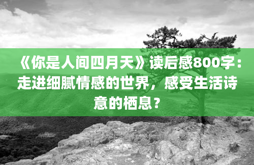 《你是人间四月天》读后感800字：走进细腻情感的世界，感受生活诗意的栖息？