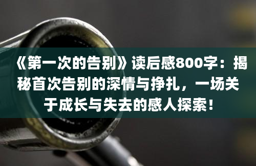 《第一次的告别》读后感800字：揭秘首次告别的深情与挣扎，一场关于成长与失去的感人探索！