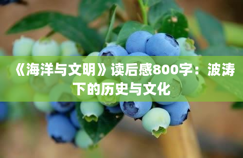 《海洋与文明》读后感800字：波涛下的历史与文化