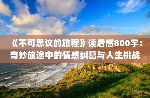 《不可思议的旅程》读后感800字：奇妙旅途中的情感纠葛与人生挑战